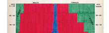 W. E. B. Du Bois' Data Portraits: Visualizing Black America