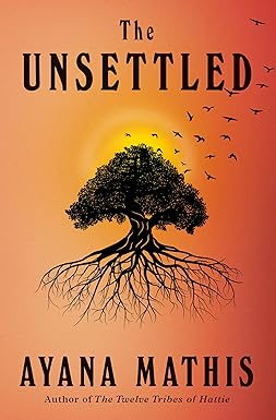 The Unsettled: A novel